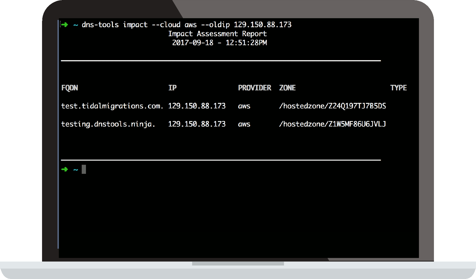 A Monitor running DNS Tools