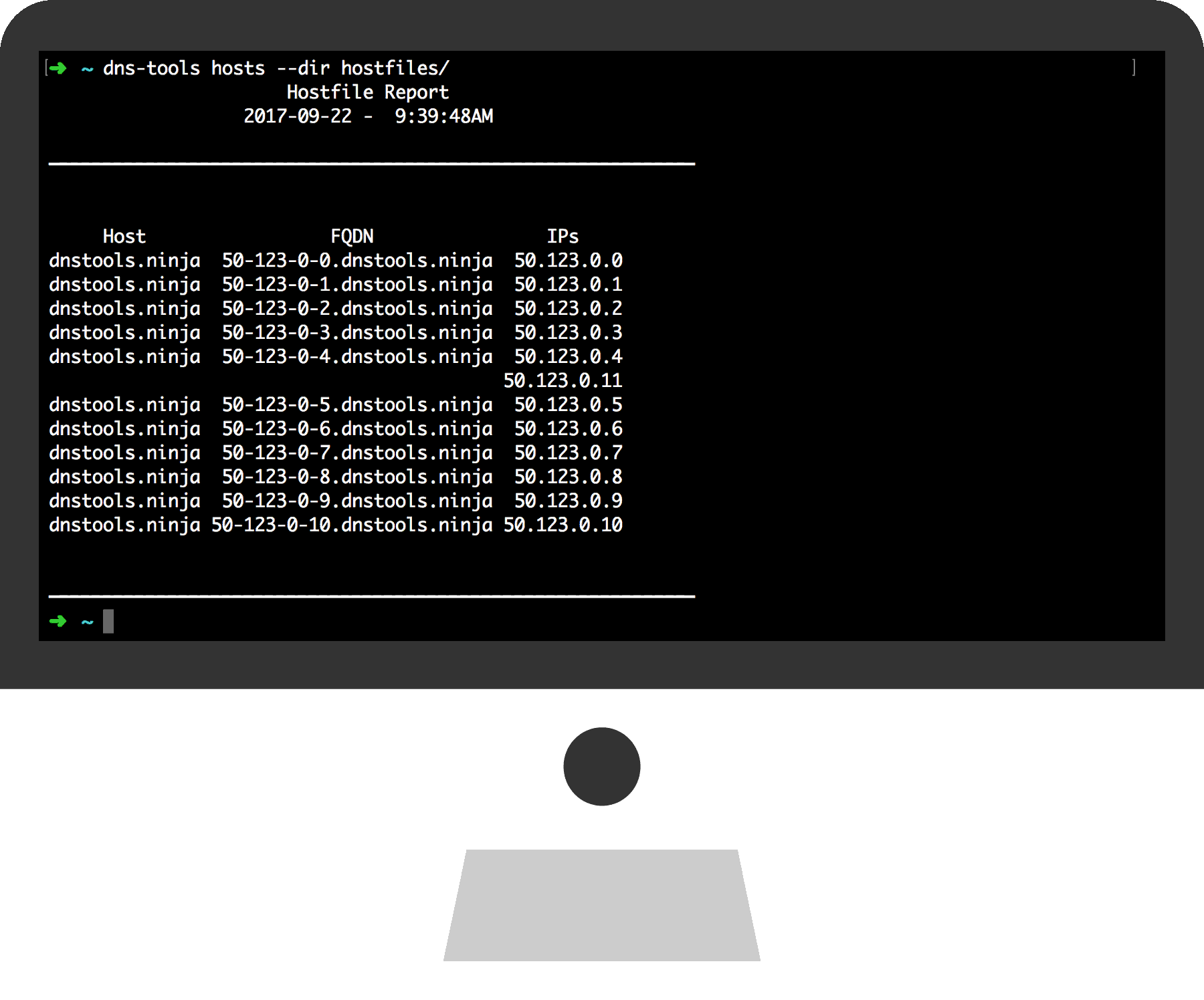 A Macbook screen running DNS Tools