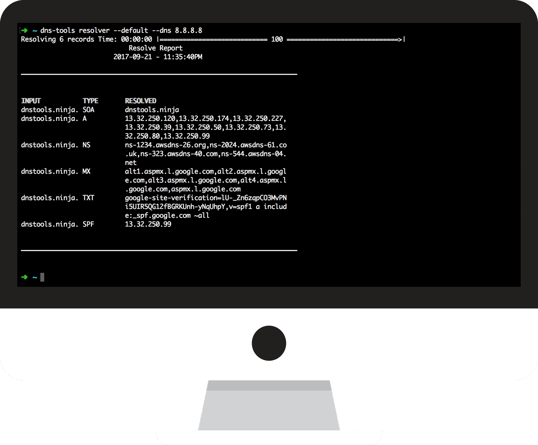 A PC screen running DNS Tools