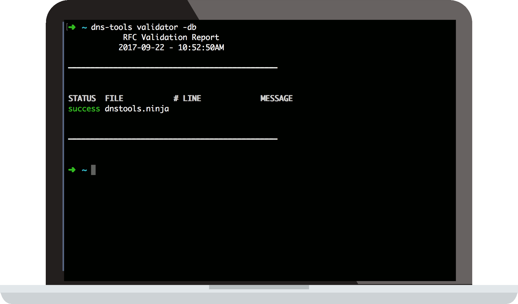 A Macbook screen running DNS Tools